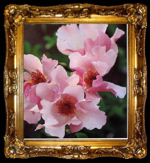 framed  unknow artist Still life floral, all kinds of reality flowers oil painting  367, ta009-2